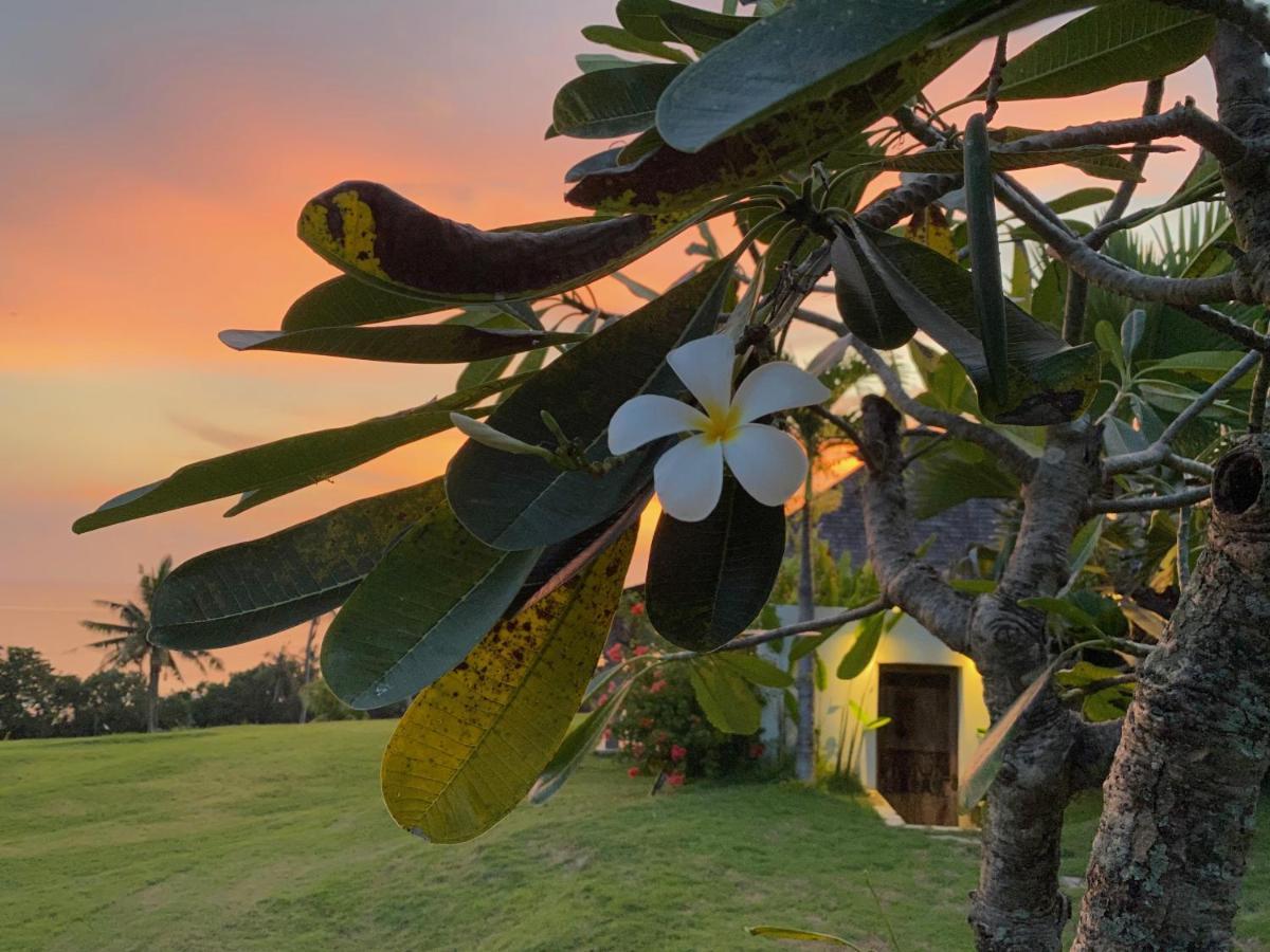 Hotel Balian Prana Selemadeg  Esterno foto